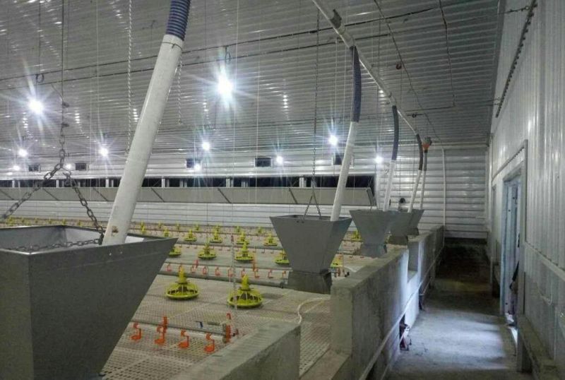 China Group Rising Chicken Farming House Broiler Chicken House for Nigeria