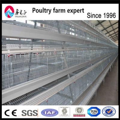 Poultry Control Shed Farm Equipment/Poultry Layer Farming Equipment/Chicken Egg Poultry Farm Equipment