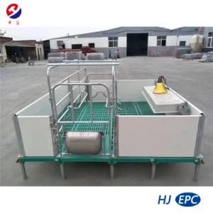 Welfare-Type Farrowing Crates Specialized for Your Pig Farm