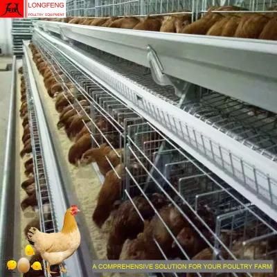 Longfeng Stable Running Service Professional Good Price Large Scale Poultry Farming Layer Cage