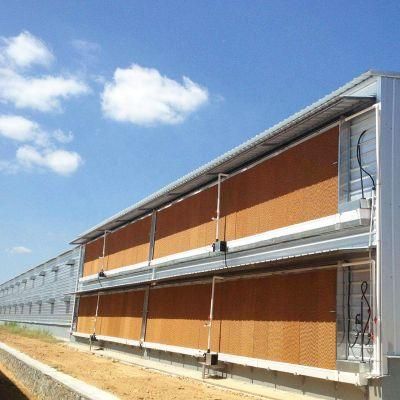 Automatic Cooling Pad System Poultry Farm Prefab Light Steel Structure Chicken Broiler House