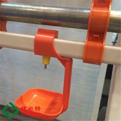 Automatic Poultry Feeder and Drinker Equipment for Chicken Farm