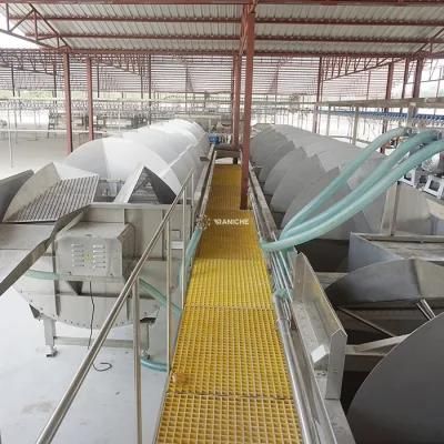 King-Sized Spiral Pre-Chiller Chicken Slaughtering Machine in Poultry Processing Plant