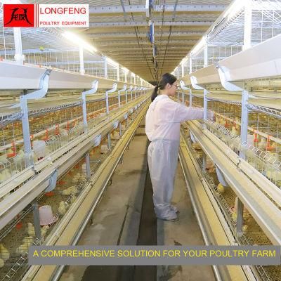 Computerized Good Service Longfeng Standard Packing Farm Equipment Broiler Chicken Cage