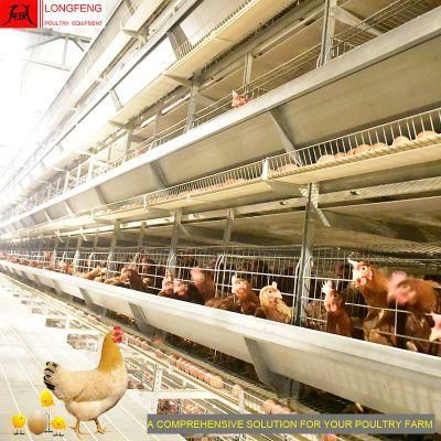 Longfeng Automatic Poultry Farming Equipment Modernized Cage Layer Chicken Cage