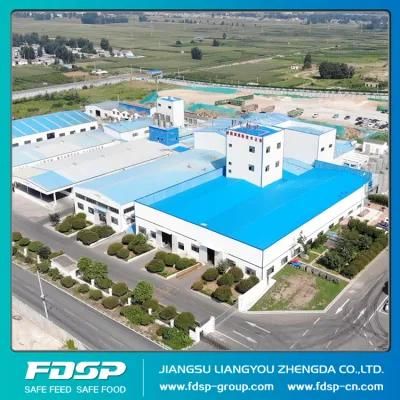 New Line Acidifiers and Fungicides of Feed Additives Production Plant Process