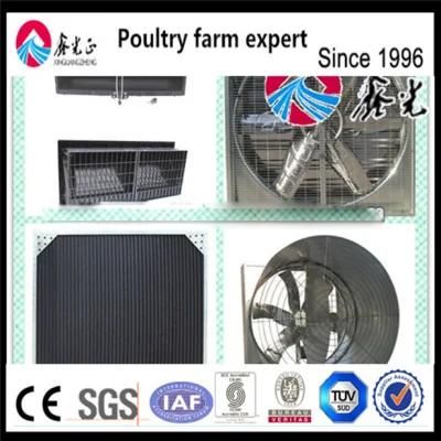 Automatic Poultry Equipment with Ventilation Fan