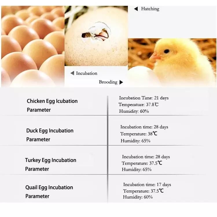Manufacturer Direct Supply Egg Incubator and Chicken and Poultry Egg Hatching Machine