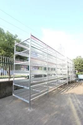 Mushroom Growing Equipment Shelving Manufacturer