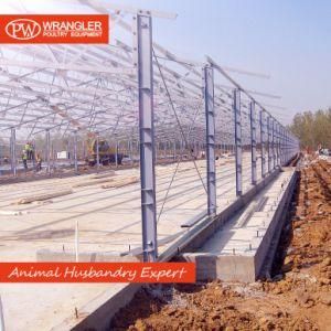 Steel Fabrication Poultry Shed Construction Steel Structure