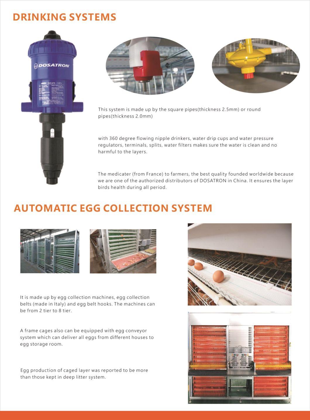 Type a Layer Cage Raising Equipment for Layer Chickens House