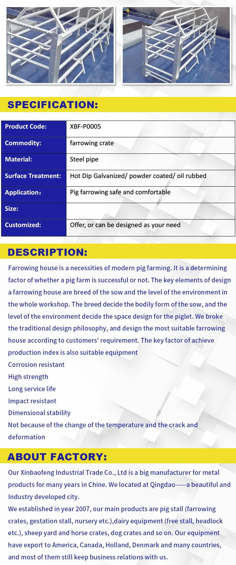 China-Made Farrowing Pen for Sale of Pig Raising Equipment