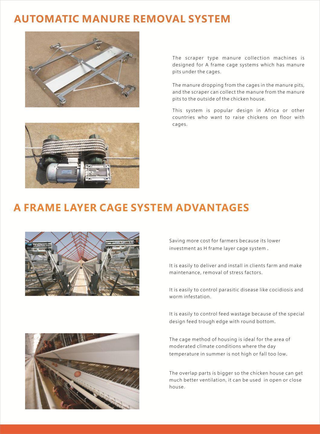 Automatic Chicken Poultry Layer Cage for Poultry Farming