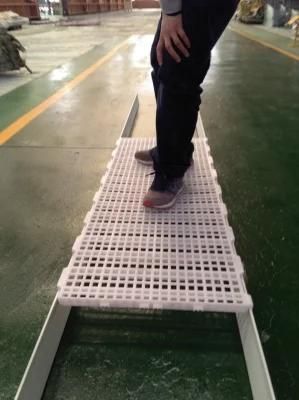 Plastic Chicken Slat Floor