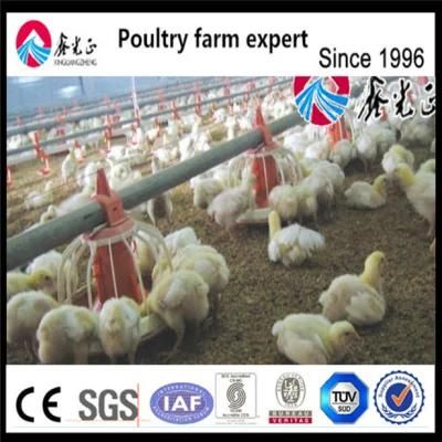 Automatic Broiler Poultry Farm Equipments