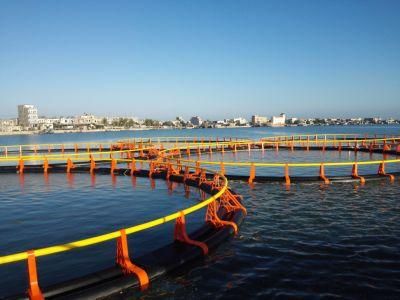 Nfw Popular HDPE Fish Farming Cage Floating Cage 90m