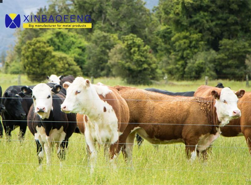 Hot-DIP Galvanized Round Rail Livestock Fence