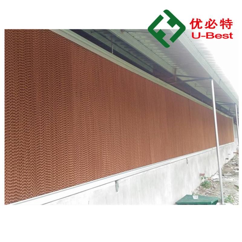 Breeder Farm Equipment Poultry Flooring System Wear Resistant Chicken Shed Chicken Farm House Feeder Plastic Slats for Poultry