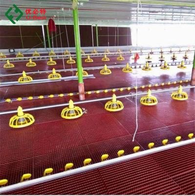 Automatic Broiler Chicken Equipment Poultry Farm