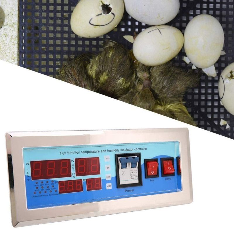 CE Industrial Chicken Incubator for Chicken Eggs Hatching Incubator