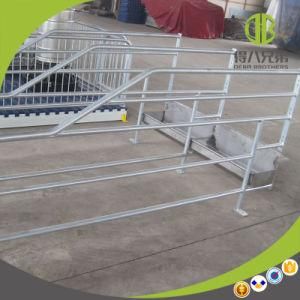 Hot Sale New Design Pig Farm Sow Gestation Stall