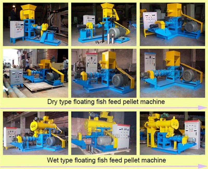 Fish Feed Machine for Floating Fish Feed Manufacturing