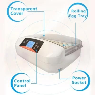 Hhd Brand New Arrival G32A Chicken Egg Incubator for Home Use