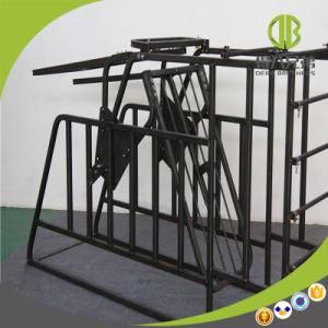Low Price High Quality Pig Free Access Individuan Stall in Pig Feeding System