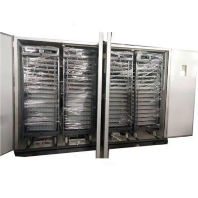 Egg Incubator and Hatcher for Chicken Eggs