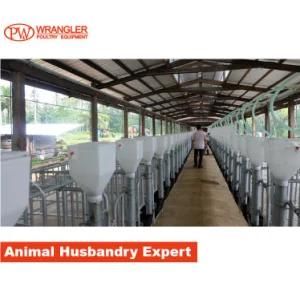 Wholesale Best Selling Professional Livestock Machinery Pig Gestation Stalls Made in China