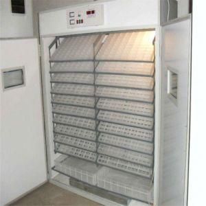 New Poultry Egg Incubator/ 10000 Chicken Eggs Incubator for Sale