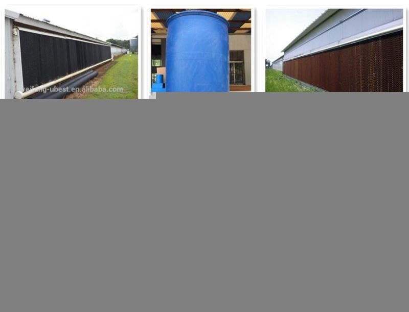 Good Price Chicken Farm Equipment Poultry Closed System
