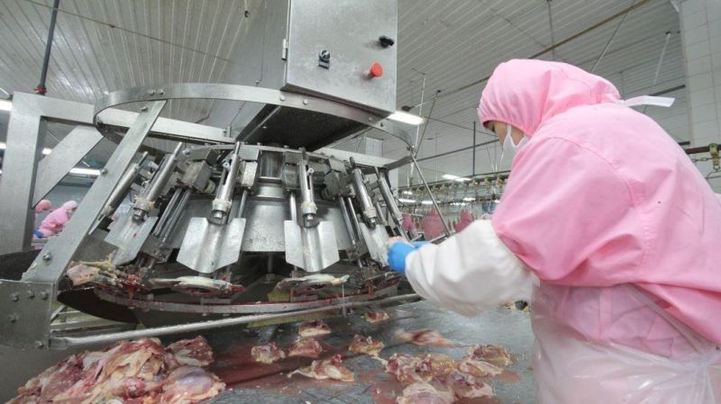Chicken Meat Deboner Machine of Drumstick Wing and Neck