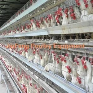 Poultry Farm Equipment a Frame Broiler Chicken Cage/Poultry Cage/Chicken Equipment