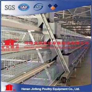 Poultry Farms Battery Chicken Layer Cage for Sale