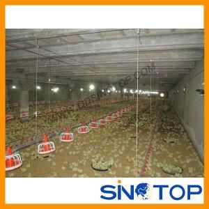 Poultry House Equipment for Hot Sale