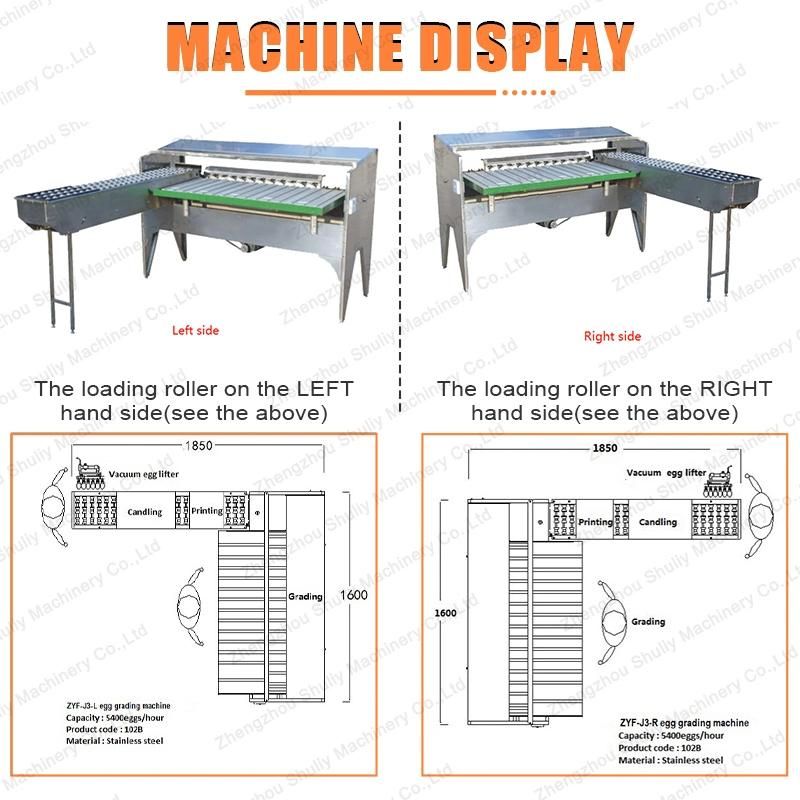 Commercial Egg Size Grader Egg Grading Sorting Machine