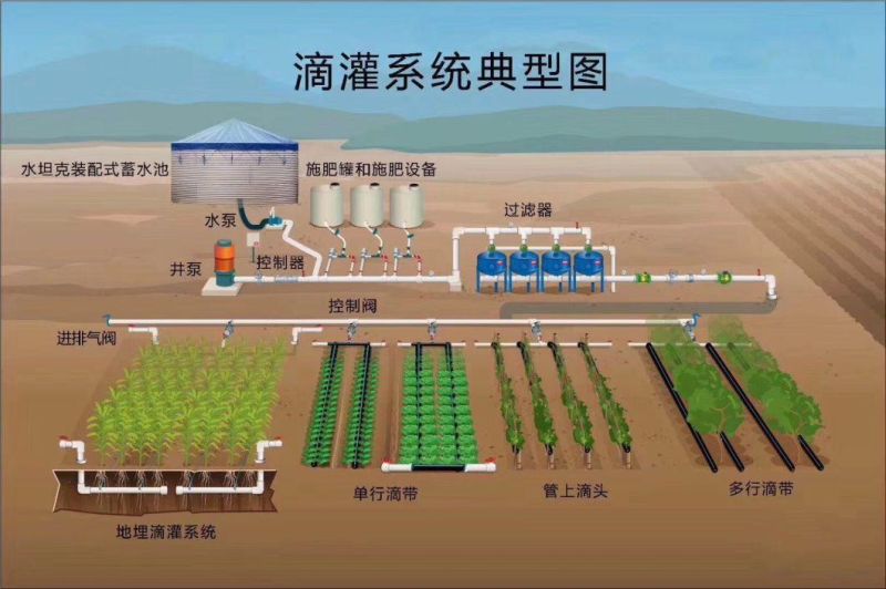 Fertilizer System of Irrigation and Fertilizer Dosing in Industrial Greenhouse