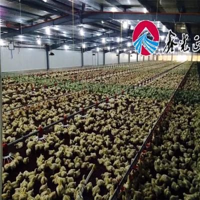 Automatic Chicken Poultry Farm Equipments for Broiler