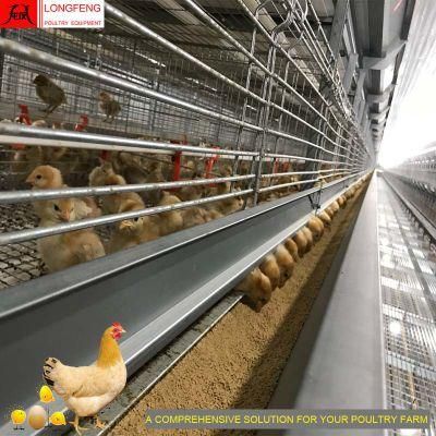 Good Service Adapted to All Climatic Conditions Comprehensive Solution Poultry Farming Equipment