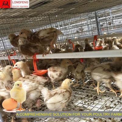 Low Price Good Service Adapted to All Climatic Conditions Comprehensive Solution Poultry Farming Equipment