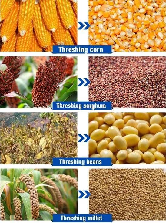 Rice, Wheat, Corn, Soybean, Barley, Sorghum and Millet Multifunctional Thresher