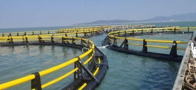 Fishing Floating Farming Cage and HDPE Nets for Tilapia Catfish