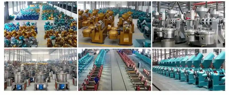 4.5tpd Guangxin Sunflower Grape Seed Oil Mill for Sale