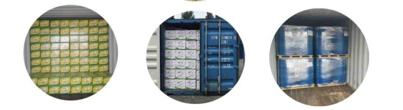 High Quantity Backpack Sprayer 16L (Model: WY-SP-01)