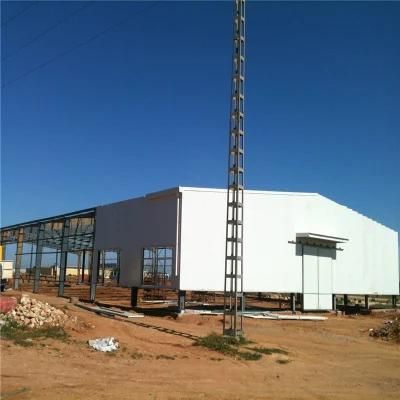 Automatic Easily Feed High Technical Hot Sale Poultry Equipment