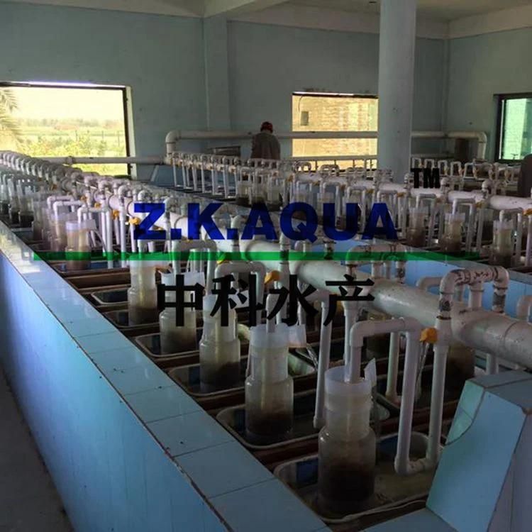 Fish Farming Tank Incubator Hatching Machine Tilapia Egg Incubation Jars