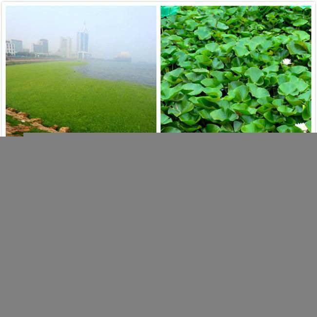 Floating Rubbish Harvester Boat/Automatic Aquatic Trash Harvester