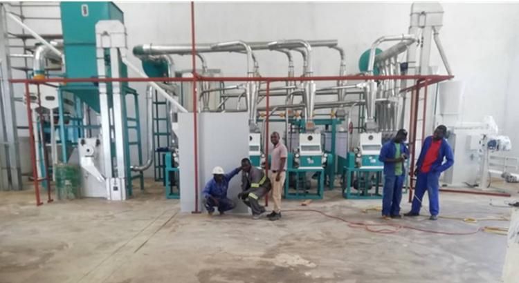 Testing Maize Milling Machines Plant in Client Factory