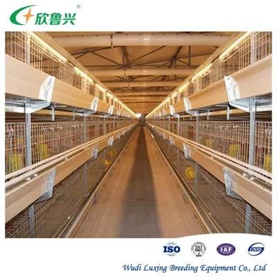 Hot Galvanized Egg Chicken Farming Cage Ladder Type Layer Breeding Poultry Cage for Farms